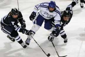 乐鱼app-越南男篮在亚洲锦标赛中拼搏，逐步崭露头角