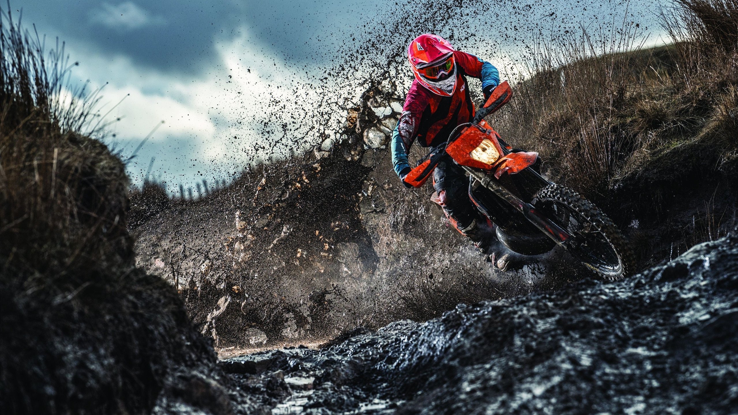 黄蜂后卫出席新闻发布会分享备战心态，黄蜂队的后卫